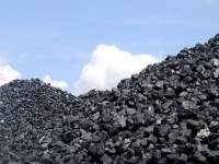 Bulk Thermal Coal Supply for Industrial Energy Needs